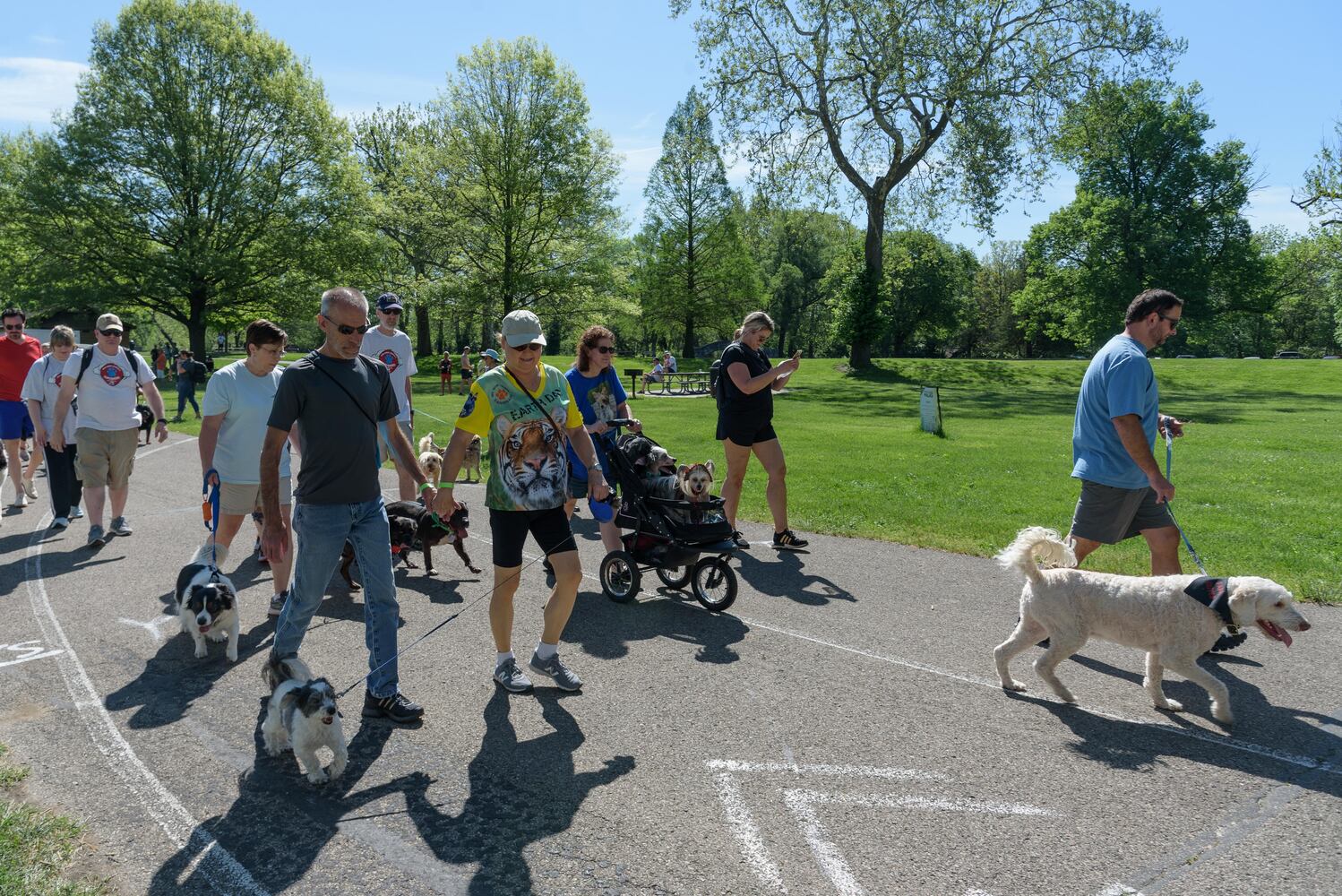 PHOTOS: Did we spot you and your doggie during the Furry Skurry 5K & Furry Fest at Eastwood MetroPark?