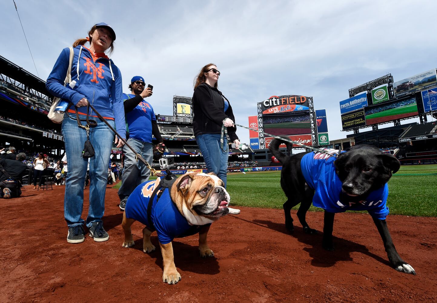 News hounds (4/23/15)