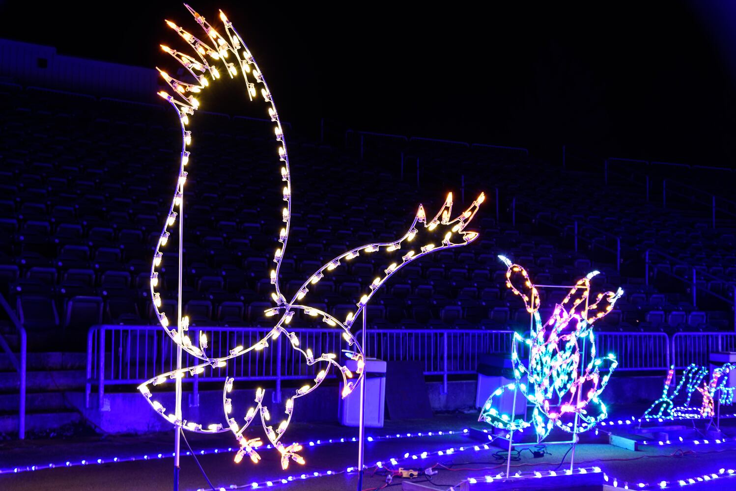 PHOTOS: ParkLights at Caesar Ford Park