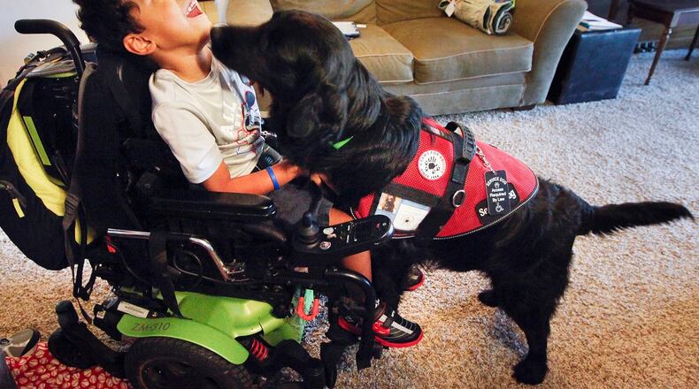 Jesse Burns’ family raised $15,000 to get Squirt, a service dog that alerts Jesse to seizures and helps open doors, turn on lights and pick up dropped objects. The family is concerned about others who pass off dogs as fake service animals. The image of Jesse was one taken by Dayton Daily News reporter Chris Stewart, who was named a Best Photographer finalist in the Associated Press Media Editor’s 2016 newspaper contest. Stewart is also a finalist in the Best Explanatory Reporting and Best Enterprise Reporting categories of the contest. CHRIS STEWART / STAFF