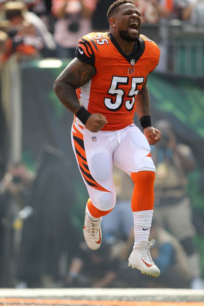 bengals dolphins gallery