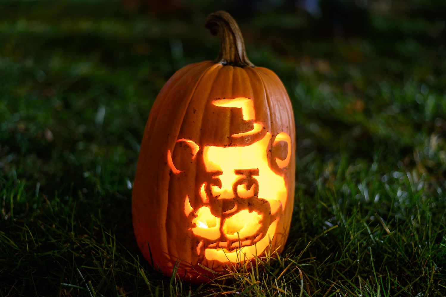 PHOTOS: 2025 Stoddard Avenue Pumpkin Glow
