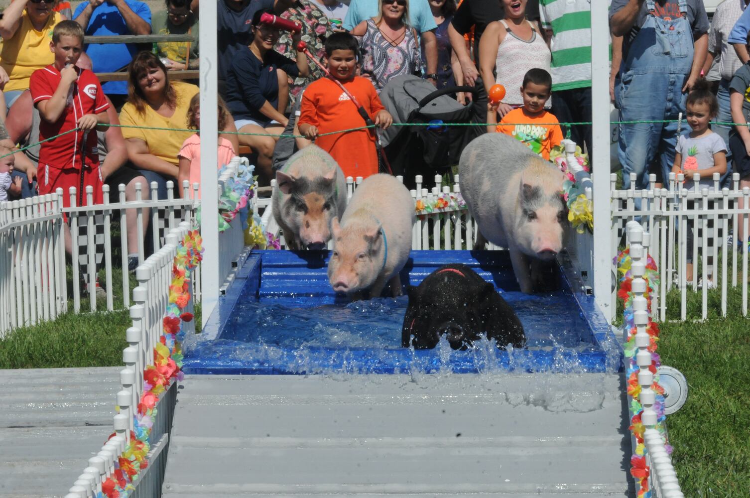 PHOTOS: Did we spot you at the Preble County Pork Festival?