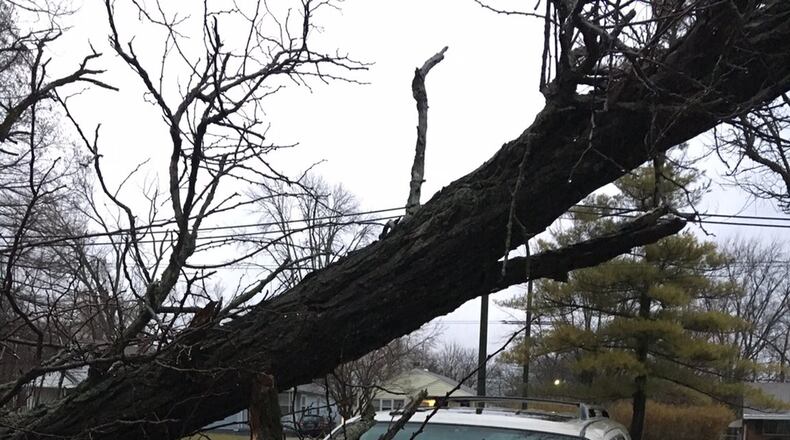 Just before 6 a.m. Wednesday on Oakridge Drive in Dayton, a tree fell on an SUV owned by Lita Campbell. STAFF PHOTO