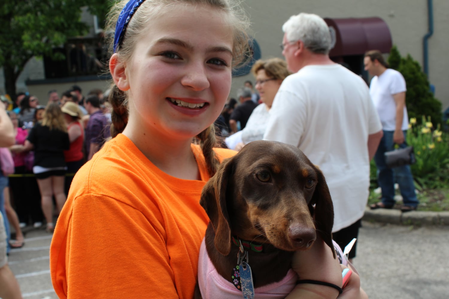 Dayton's wiener dog race of May 7, 2016