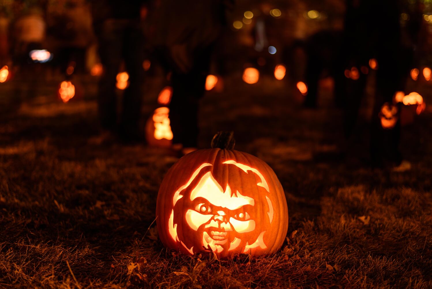 PHOTOS: The Stoddard Avenue Pumpkin Glow