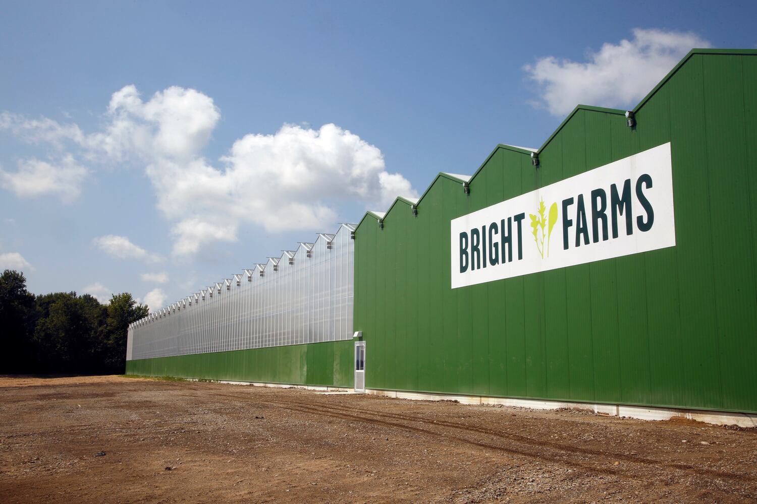 BrightFarms Ohio Greenhouse harvests first hydroponic greens in Wilmington