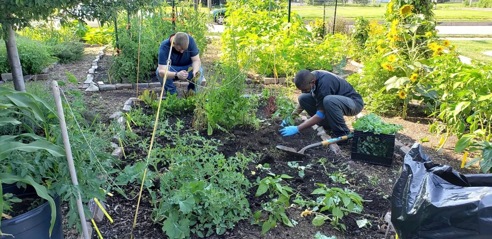 The Miracle Clubhouse maintains an urban garden. CONTRIBUTED