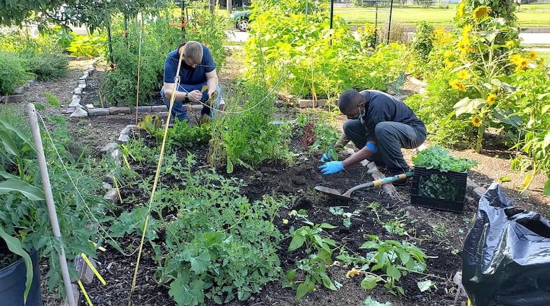 The Miracle Clubhouse maintains an urban garden. CONTRIBUTED