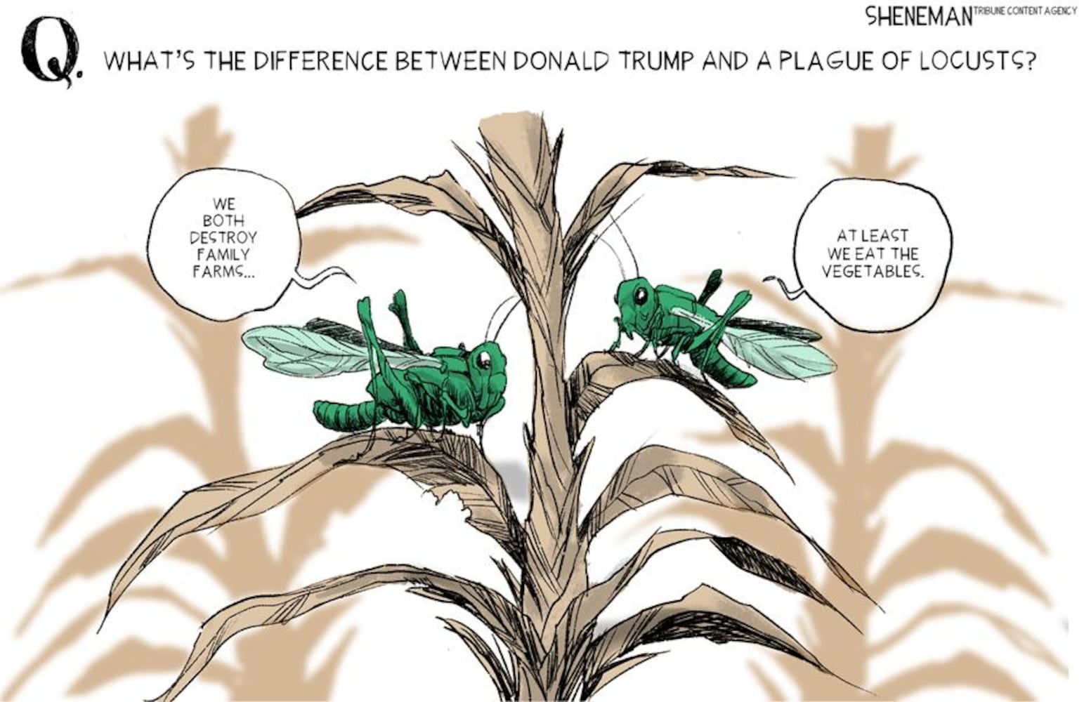 Week in cartoons: Abortion restrictions, trade wars and more