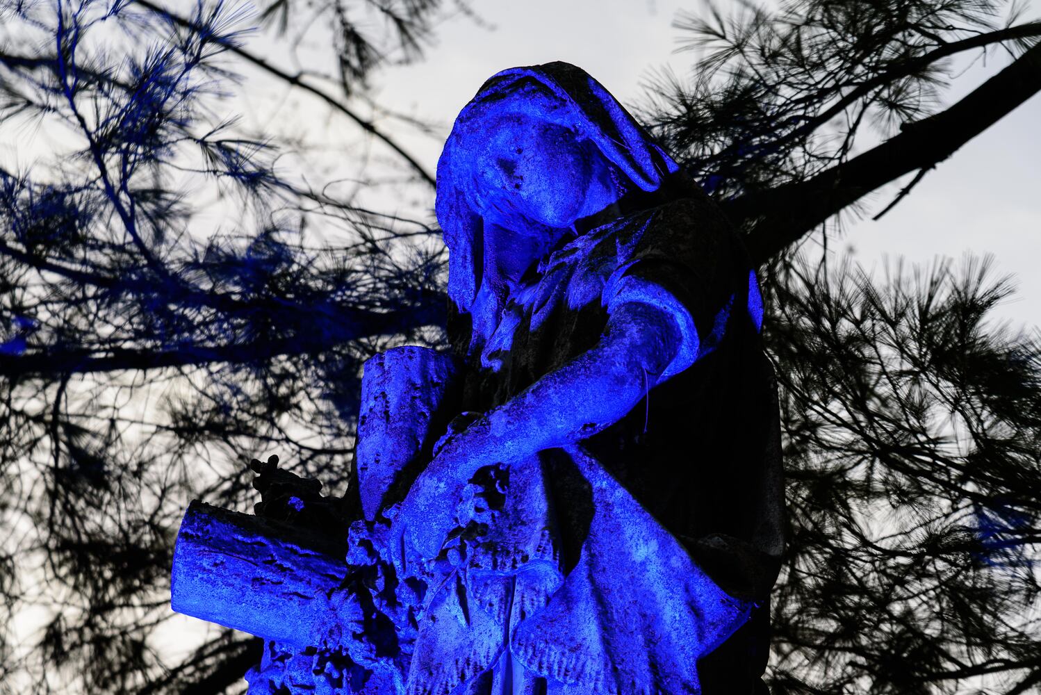 PHOTOS: Angel Night at Calvary Cemetery