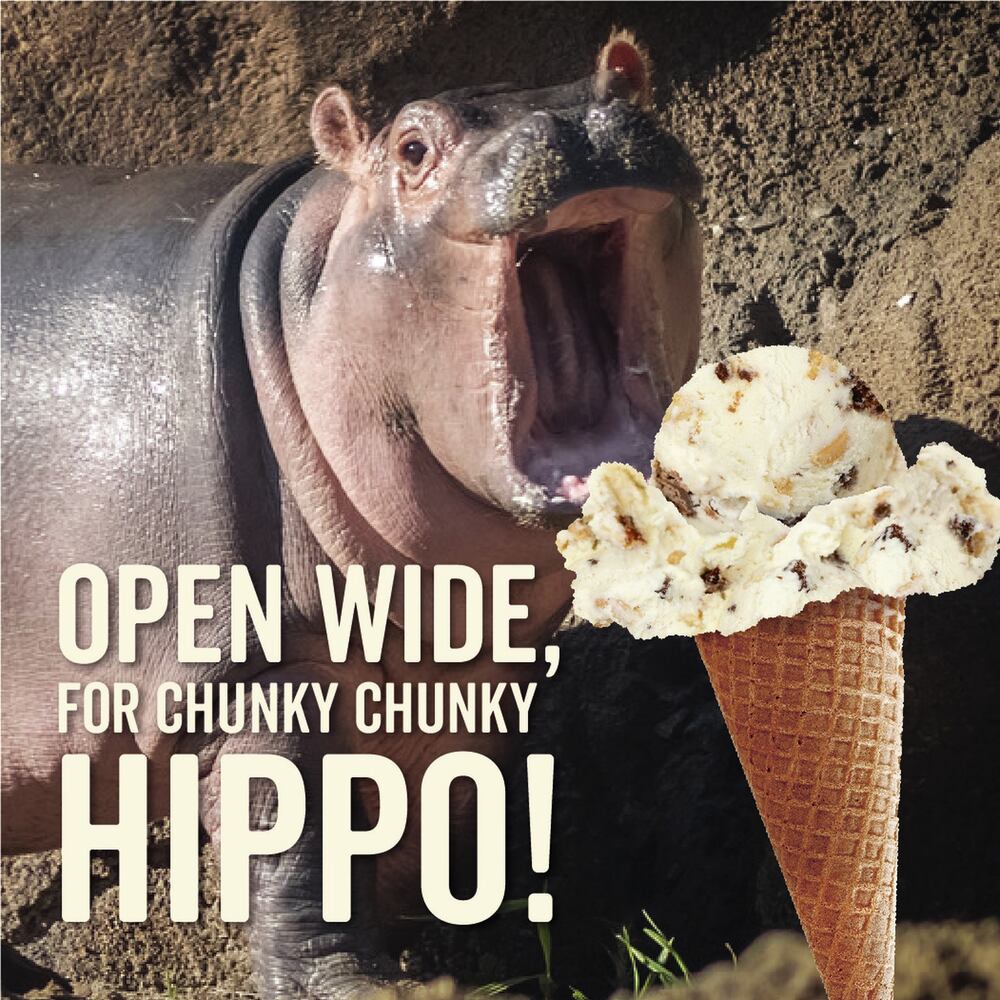 Fiona the hippo part of Graeter’s new zoo-inspired flavor