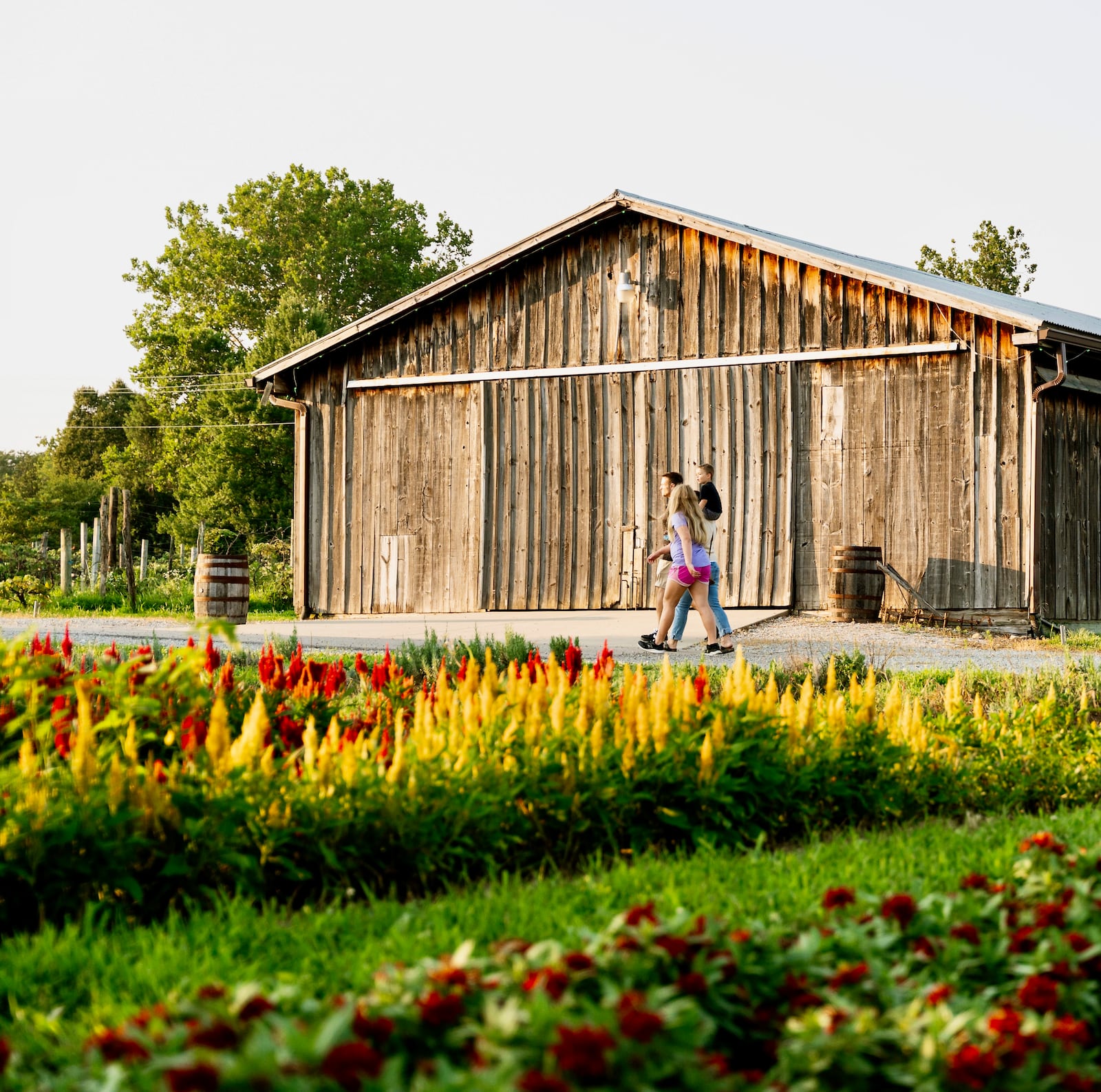 Hidden Valley Orchards added even more family fun to the season with the addition of the Activity Yard. CONTRIBUTED