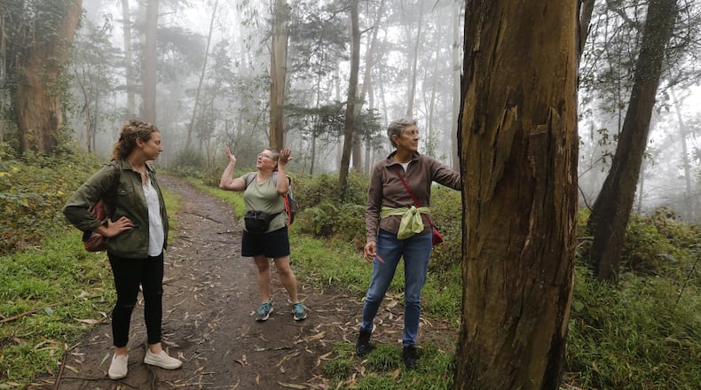 Host Julie Plevin, left, and participants Yvonne Scharf from San Diego and Heather Bailey from Vermont pause on a trail during a “forest bathing” excursion on Mt. Sutro in San Francisco, Calif., on Friday, Sept. 8, 2017. Participants were able to sign up for the “Urban Forest Walkabout” through Airbnb’s new “experiences” feature. (Laura A. Oda/Bay Area News Group/TNS)