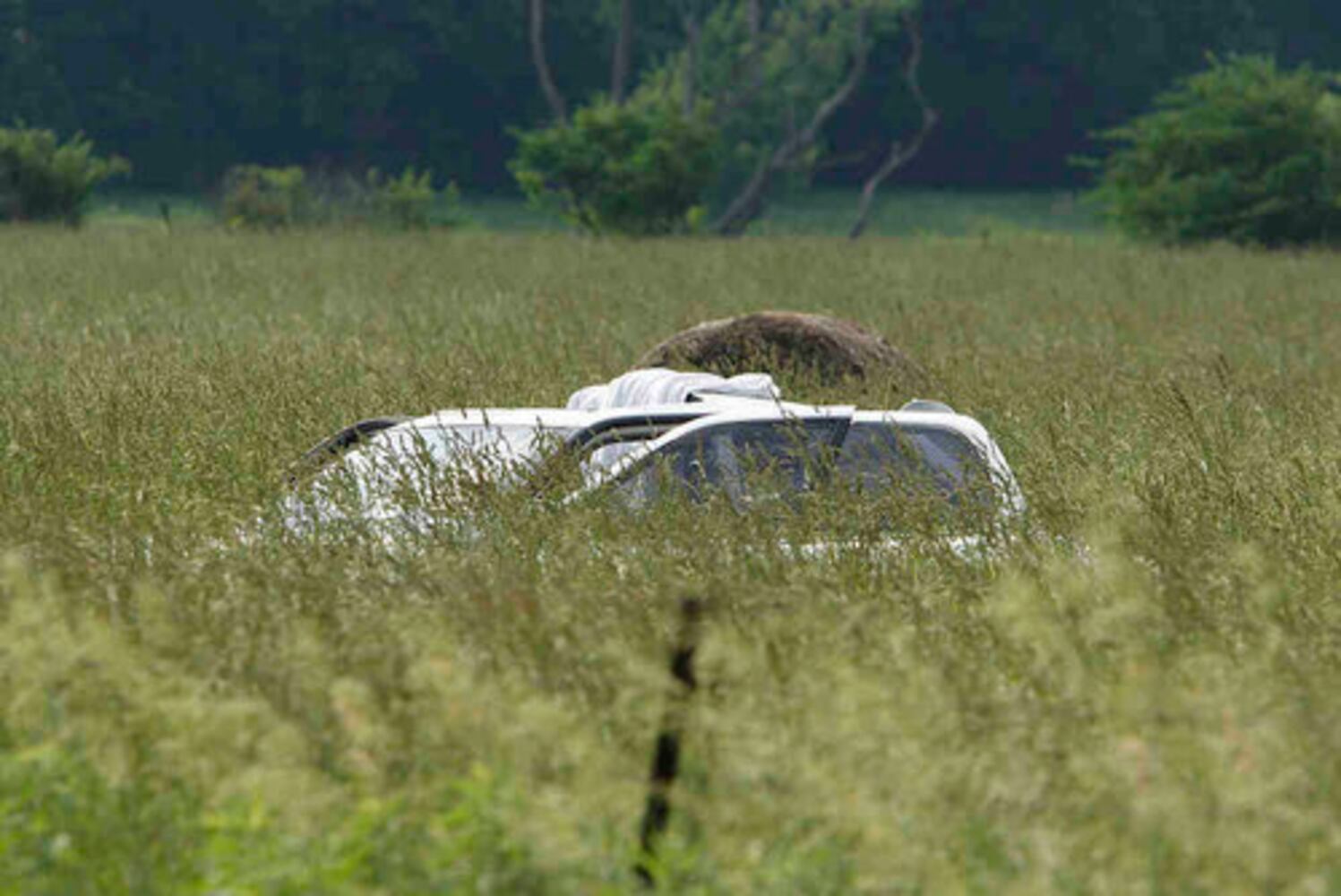 Centerville student killed in car crash