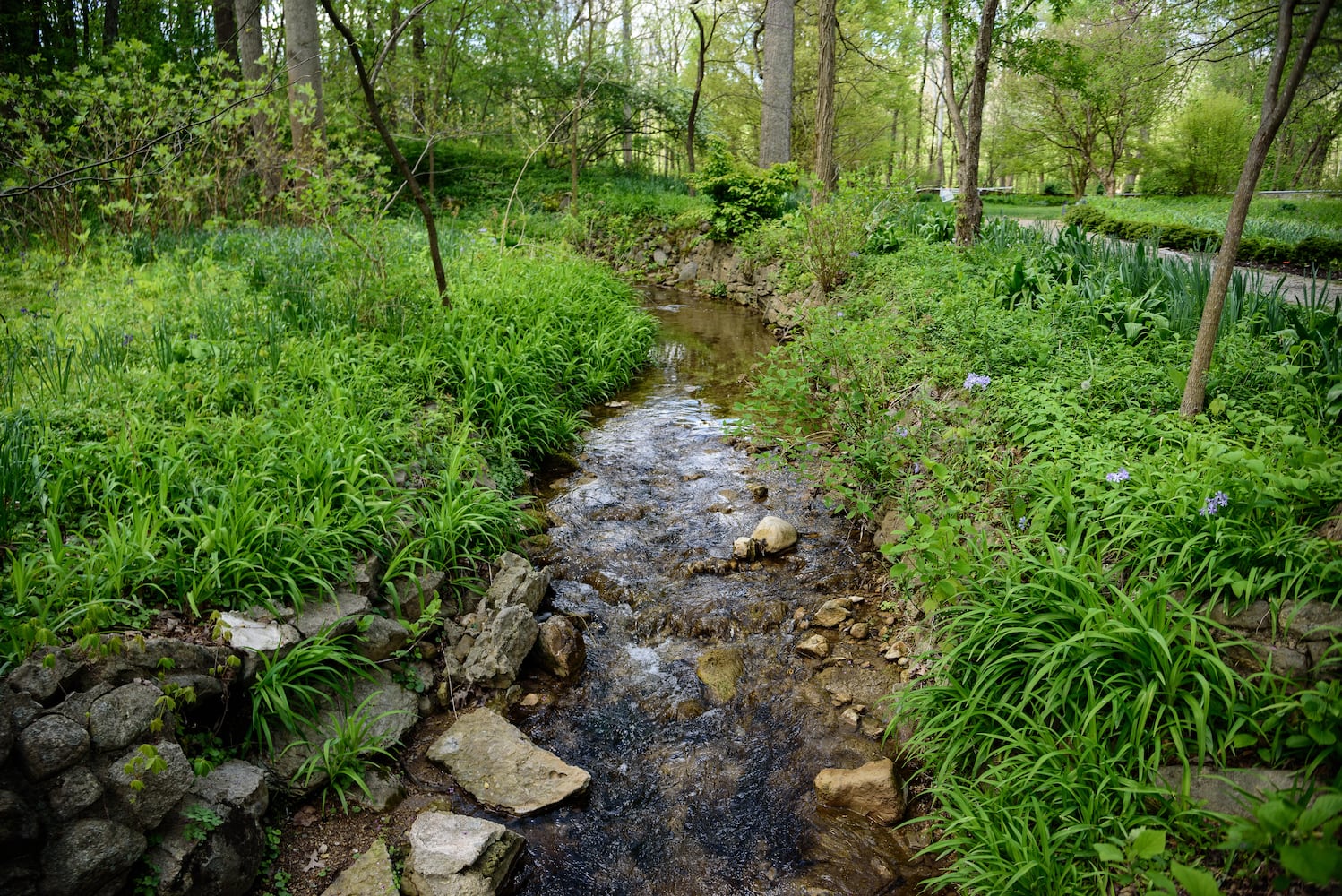 PHOTOS: Gorgeous Aullwood Garden is in full bloom