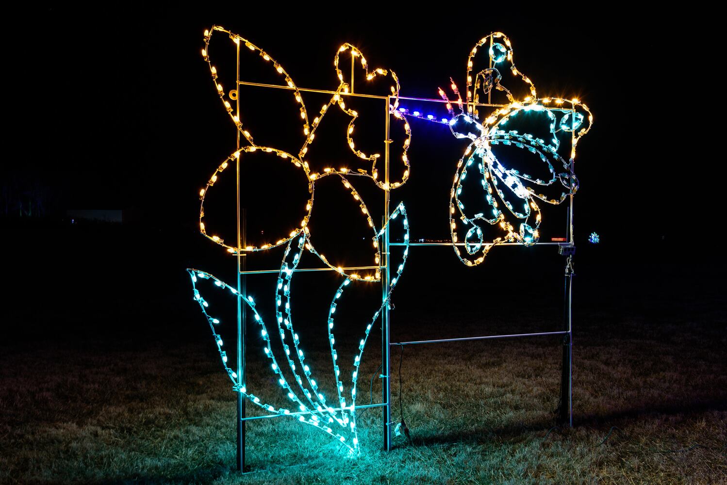PHOTOS: ParkLights at Caesar Ford Park