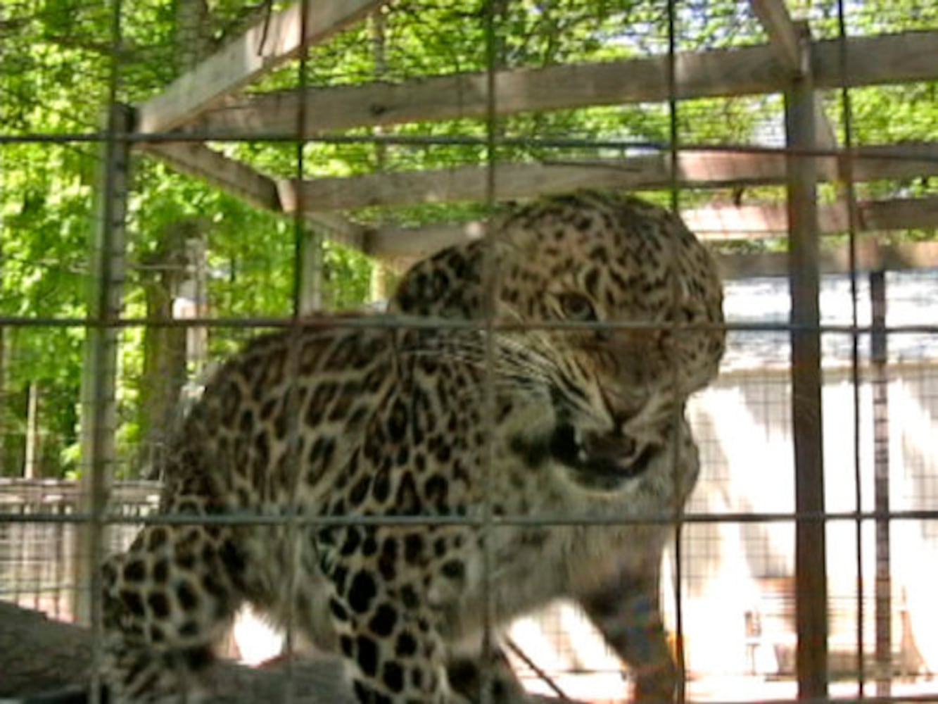 Heaven's Corner Zoo