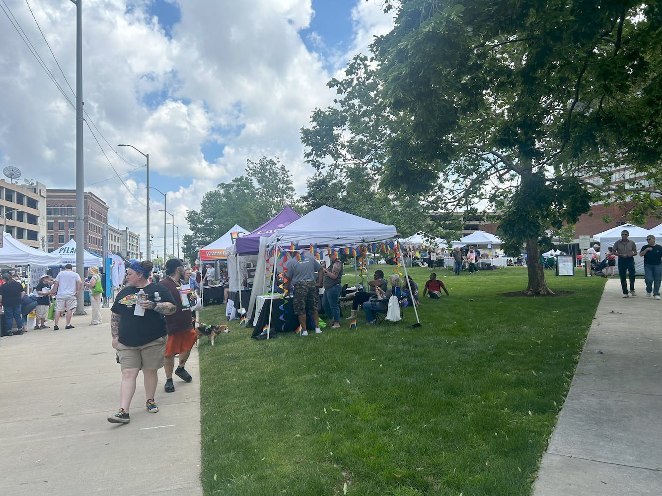 Pride Rocks 2024 Event