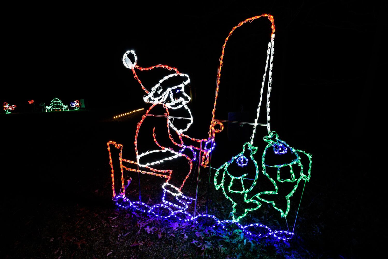 PHOTOS: Holiday Lights dazzle at Lost Creek Reserve in Troy
