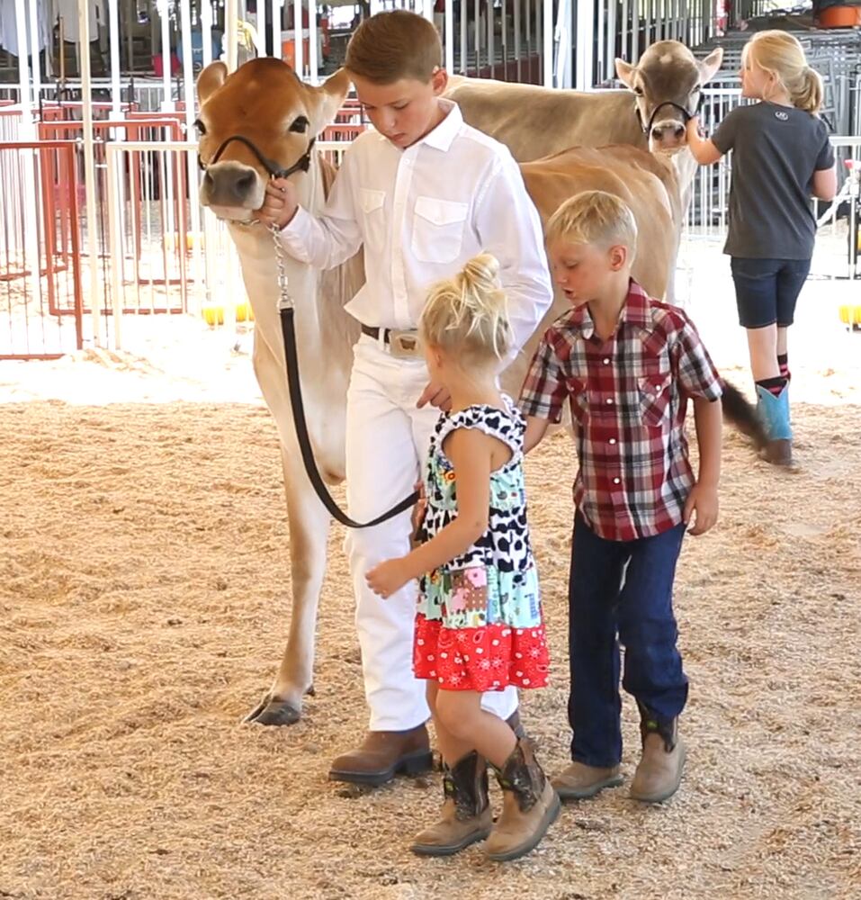 Kids and their animals big and small at Montgomery County Fair