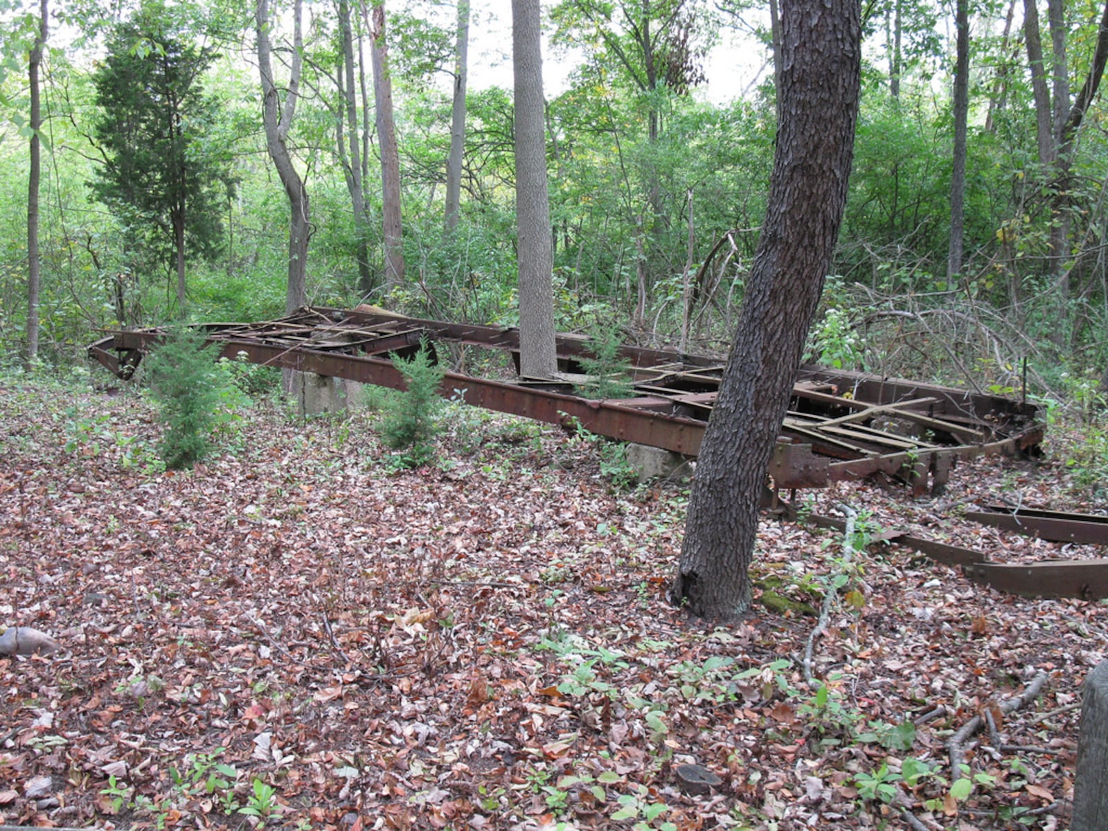 Train car remains in the Argonne Forest at Possum Creek MetroPark CONTRIBUTED