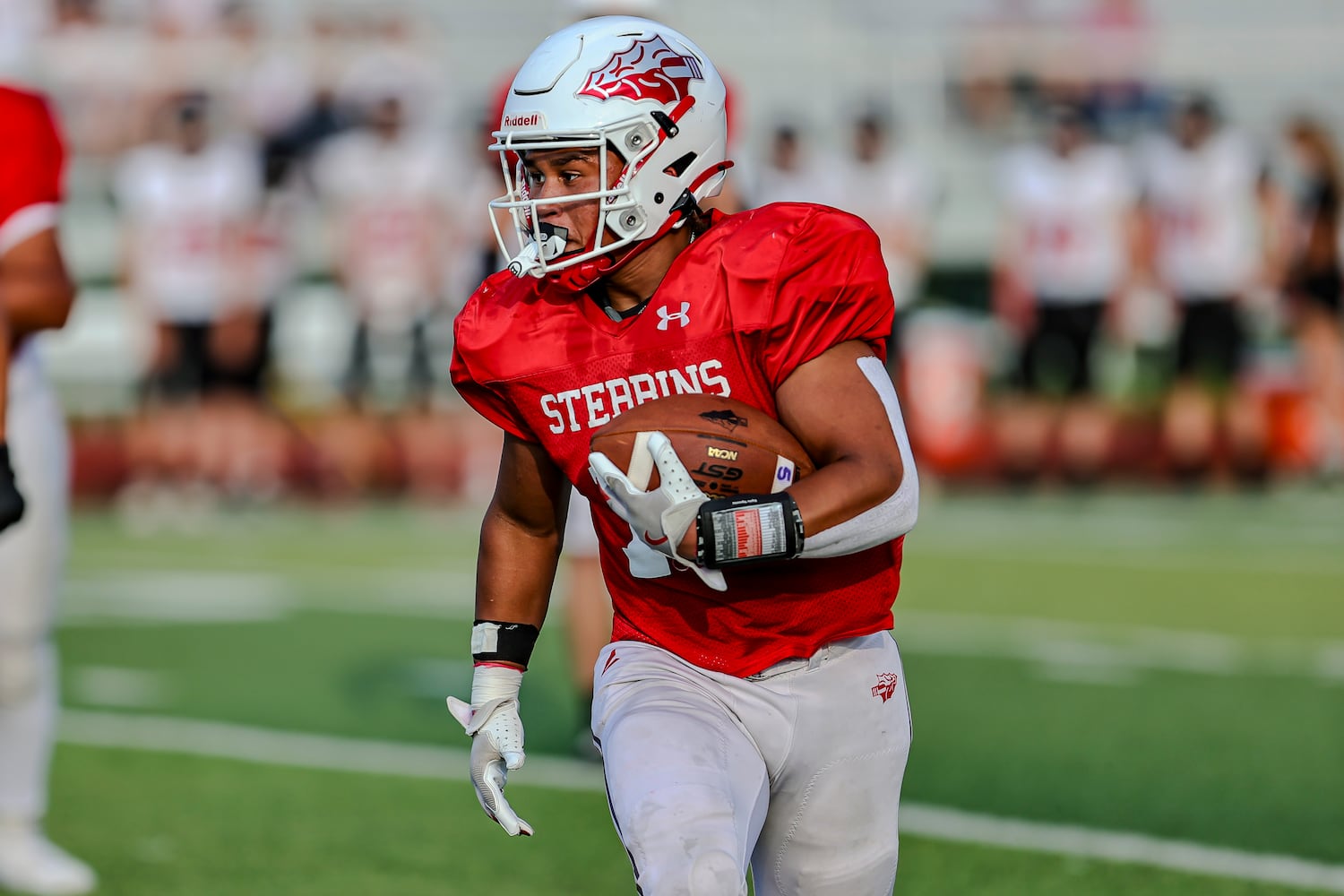 stebbins tecumseh hsfb