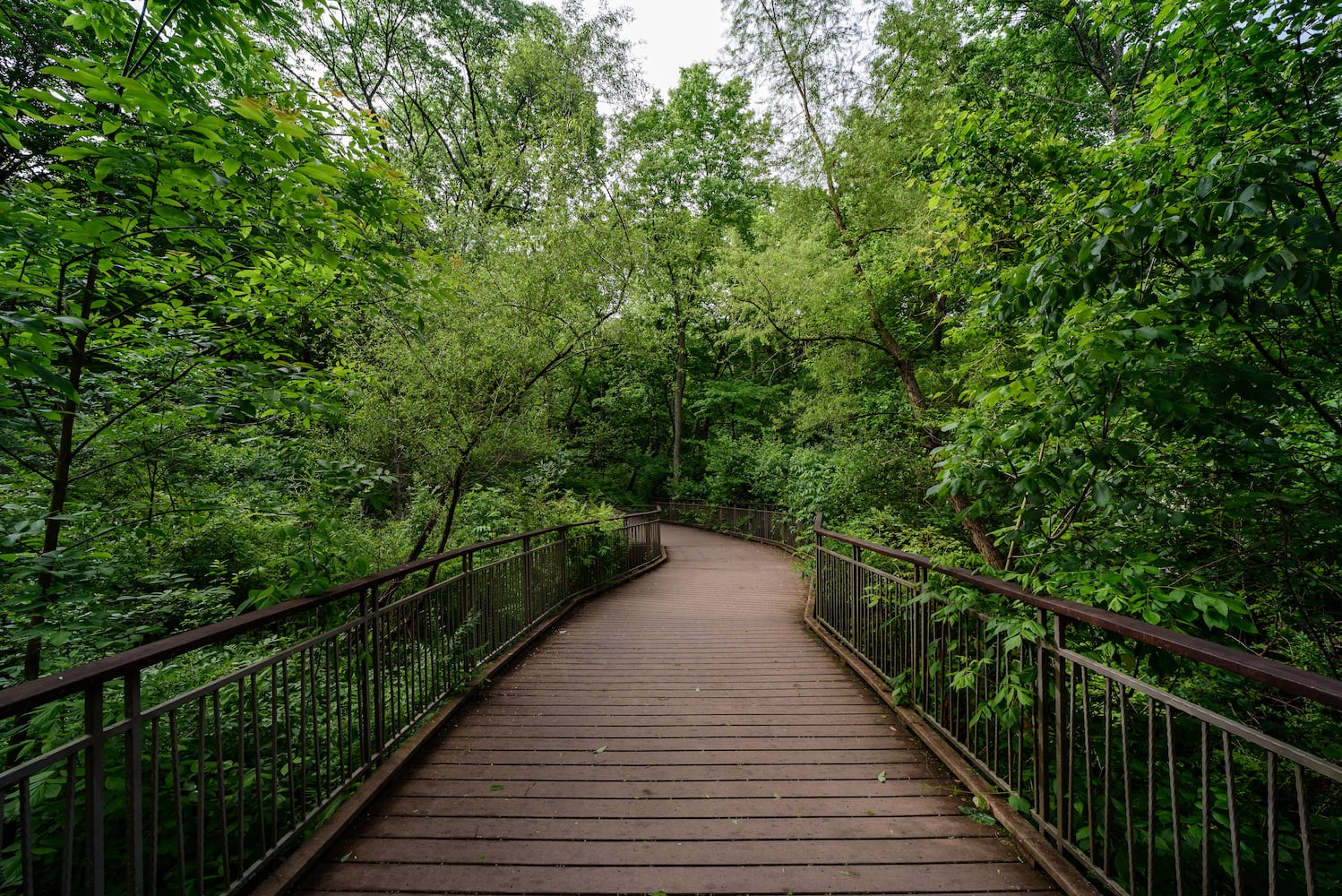 PHOTOS: Take a stroll through the hills at picturesque park