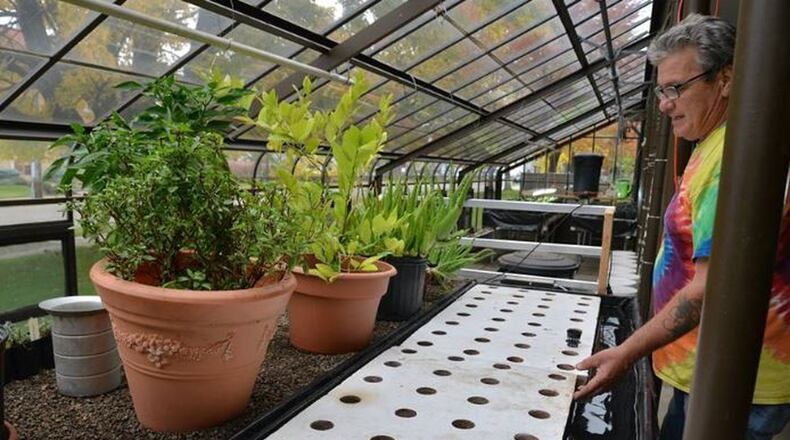 Alfred Hall and his organization, HUGS, are creating urban gardens to help people in Hamilton have nutritious food. PROVIDED