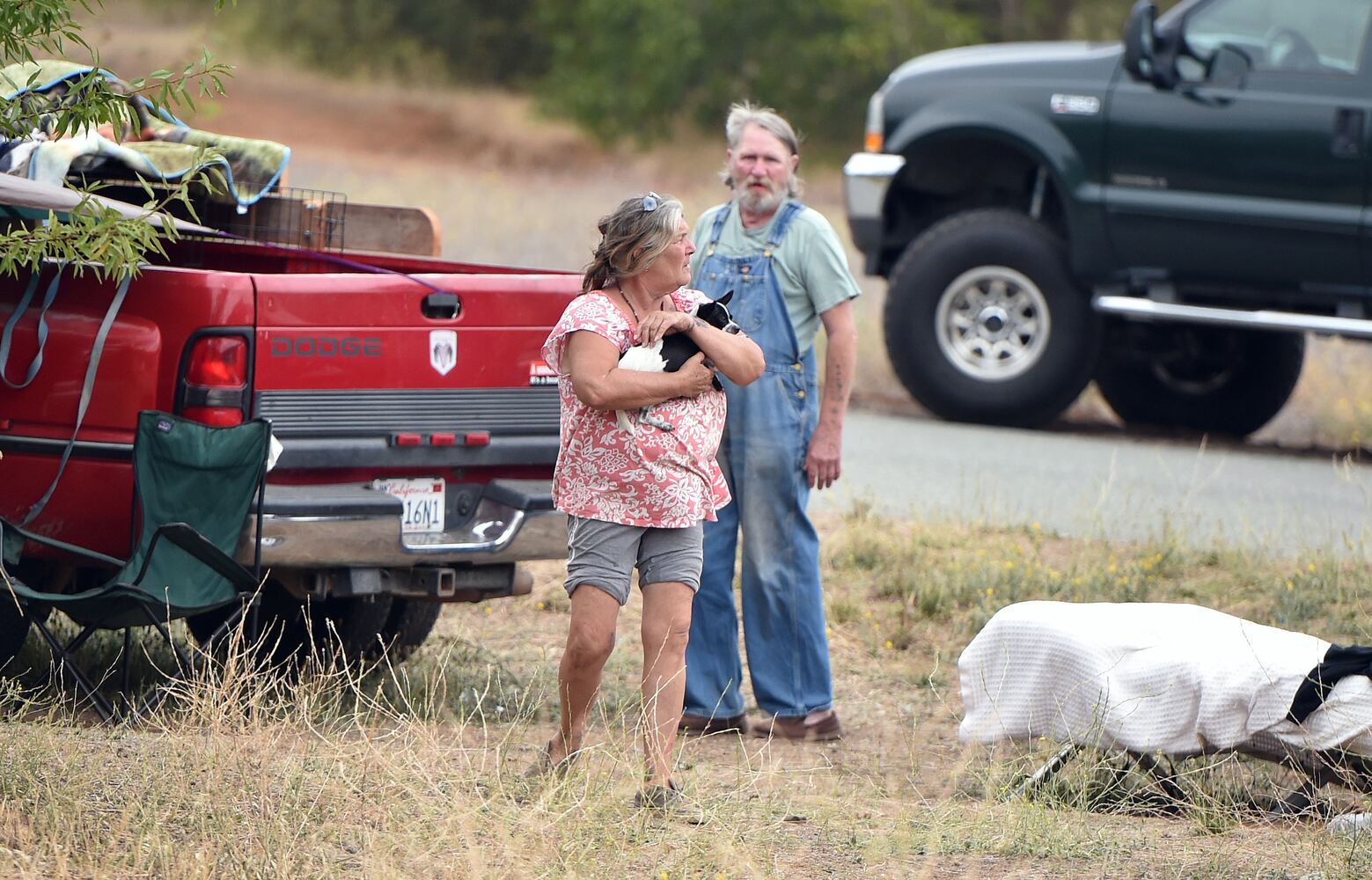 News hounds (8/6/15)
