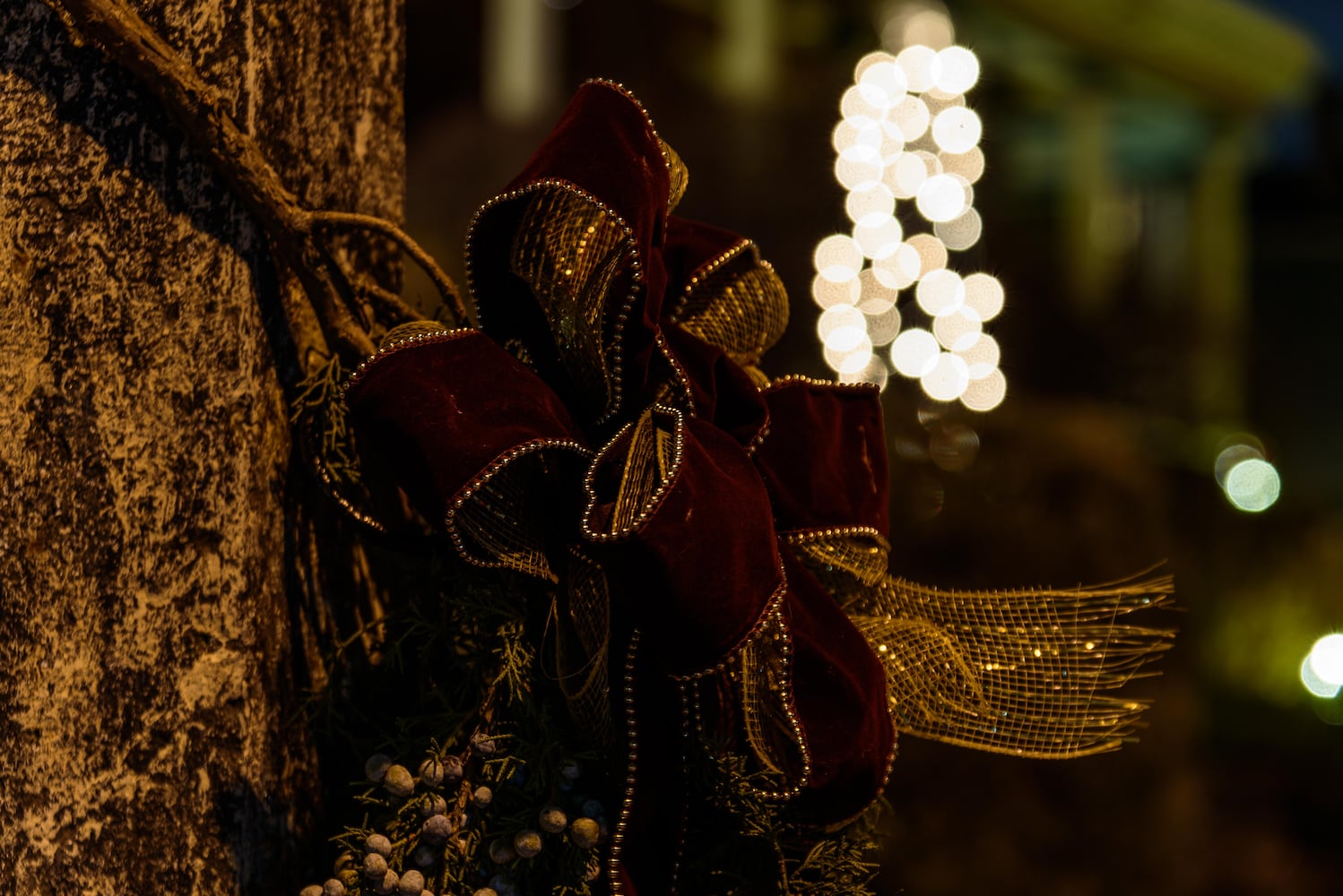 PHOTOS: Holiday on the Hill in the St. Anne's Hill Historic District