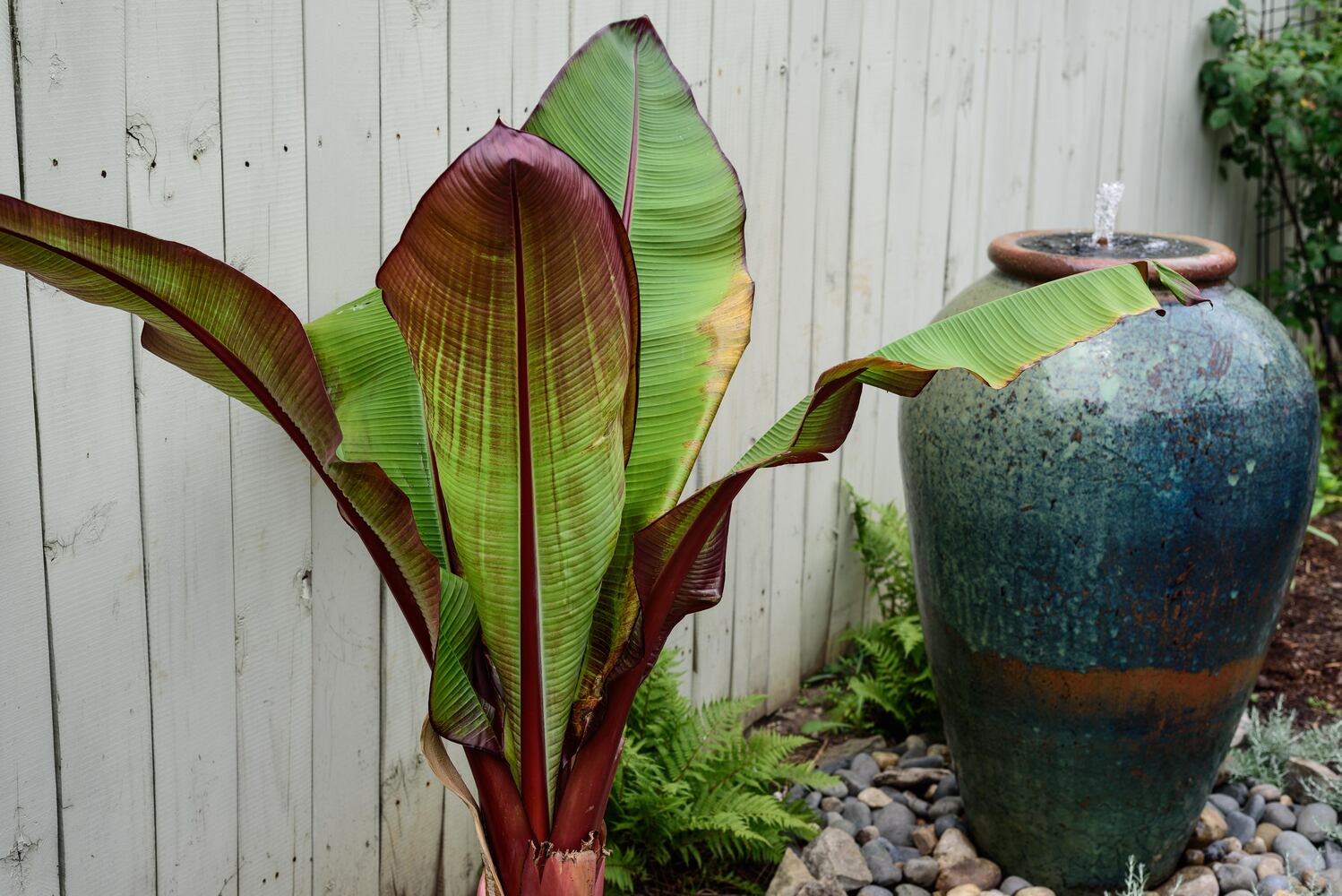 PHOTOS: 2024 St. Anne's Hill Historic District Garden Tour