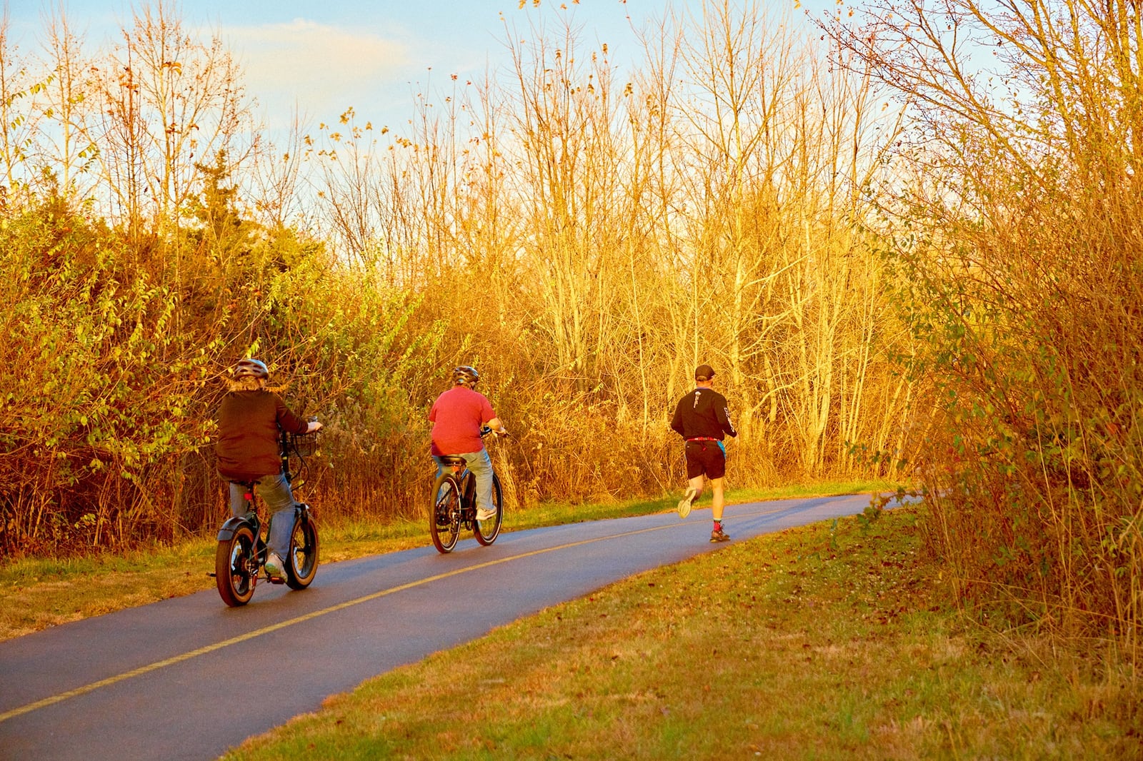 Warm displays of beautiful color, the distinct earthy autumn smell and the crunch of fallen leaves under your feet – fall is perhaps one of the best seasons to explore trees in your MetroParks and neighborhood. CONTRIBUTED / Sophia Daugherty