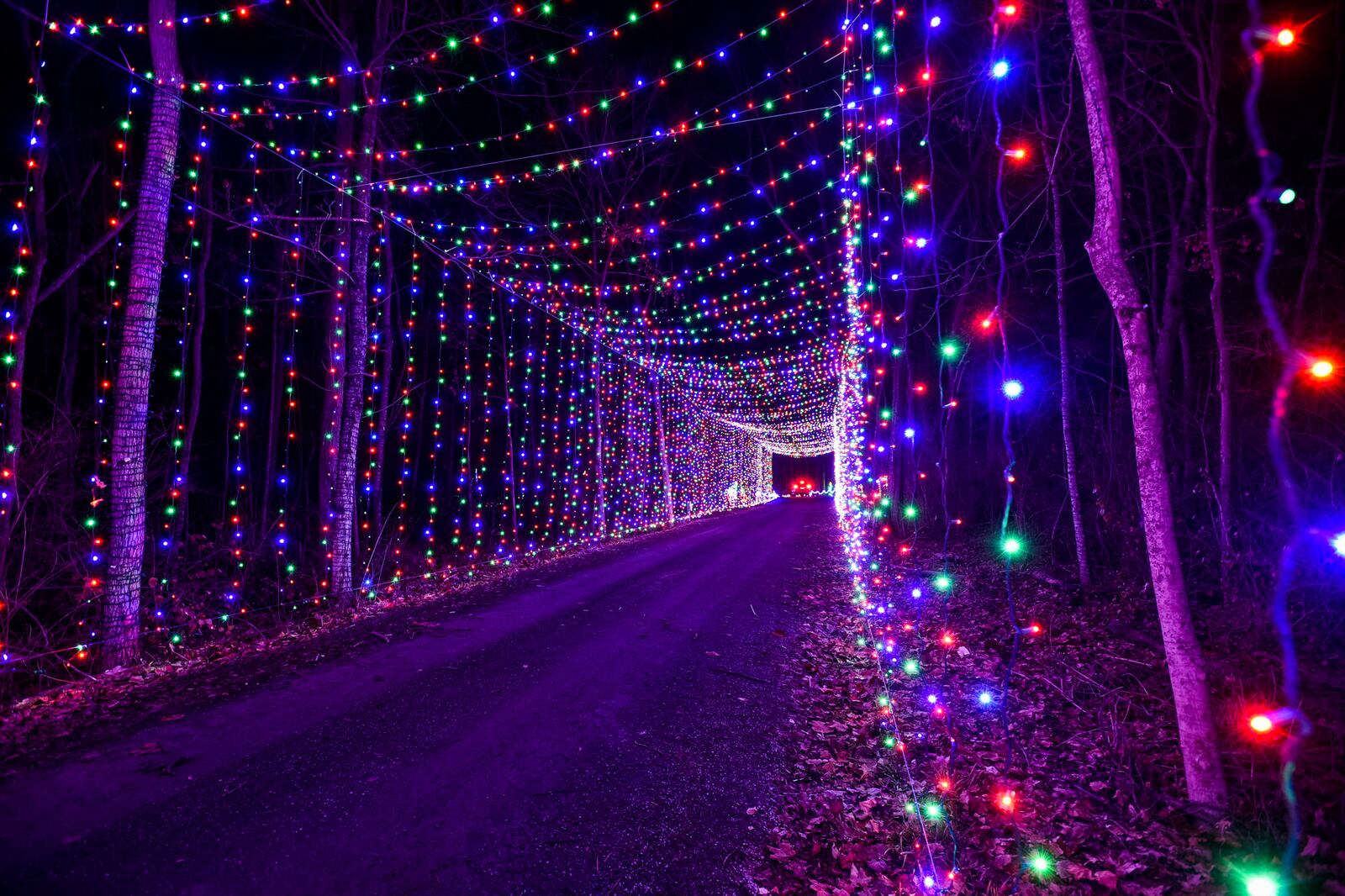 Land of Illusion’s Christmas Glow features a two-mile drive-thru experience with 3.8 million lights. NICK GRAHAM/STAFF