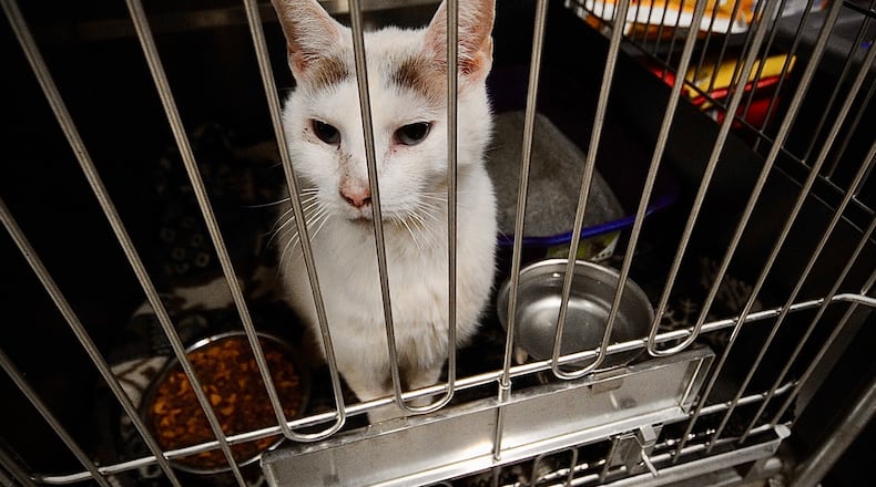 The Miami county animal shelter was built over 50 years ago. Every inch of it is used now for storage or space for animals, including the garage. MARSHALL GORBY \STAFF