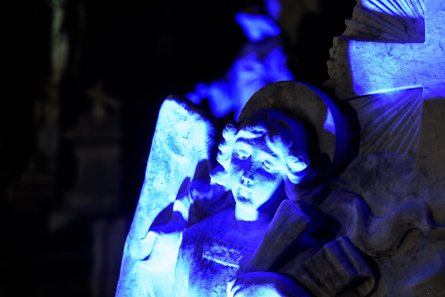 PHOTOS: Angel Night at Calvary Cemetery