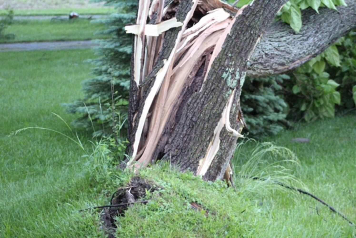 Damage on Bellefontaine Road