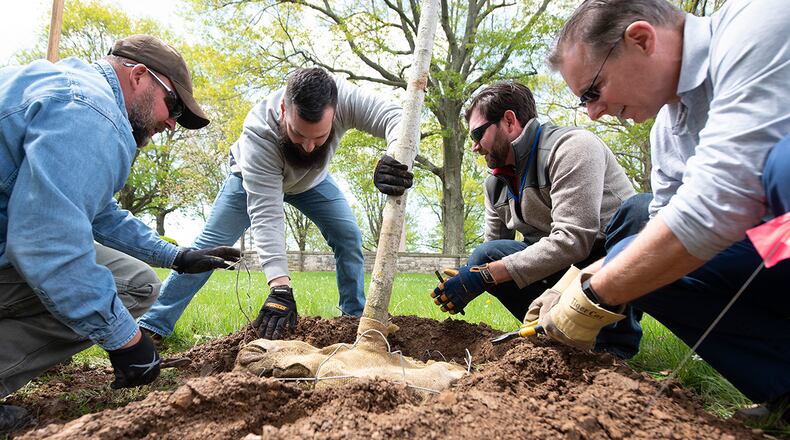 Volunteers plant a Wright Brothers Sugar Maple at the Wright Brothers Memorial on April 30. The event was part of the base’s annual Arbor Day celebration. U.S. AIR FORCE PHOTO/R.J. ORIEZ