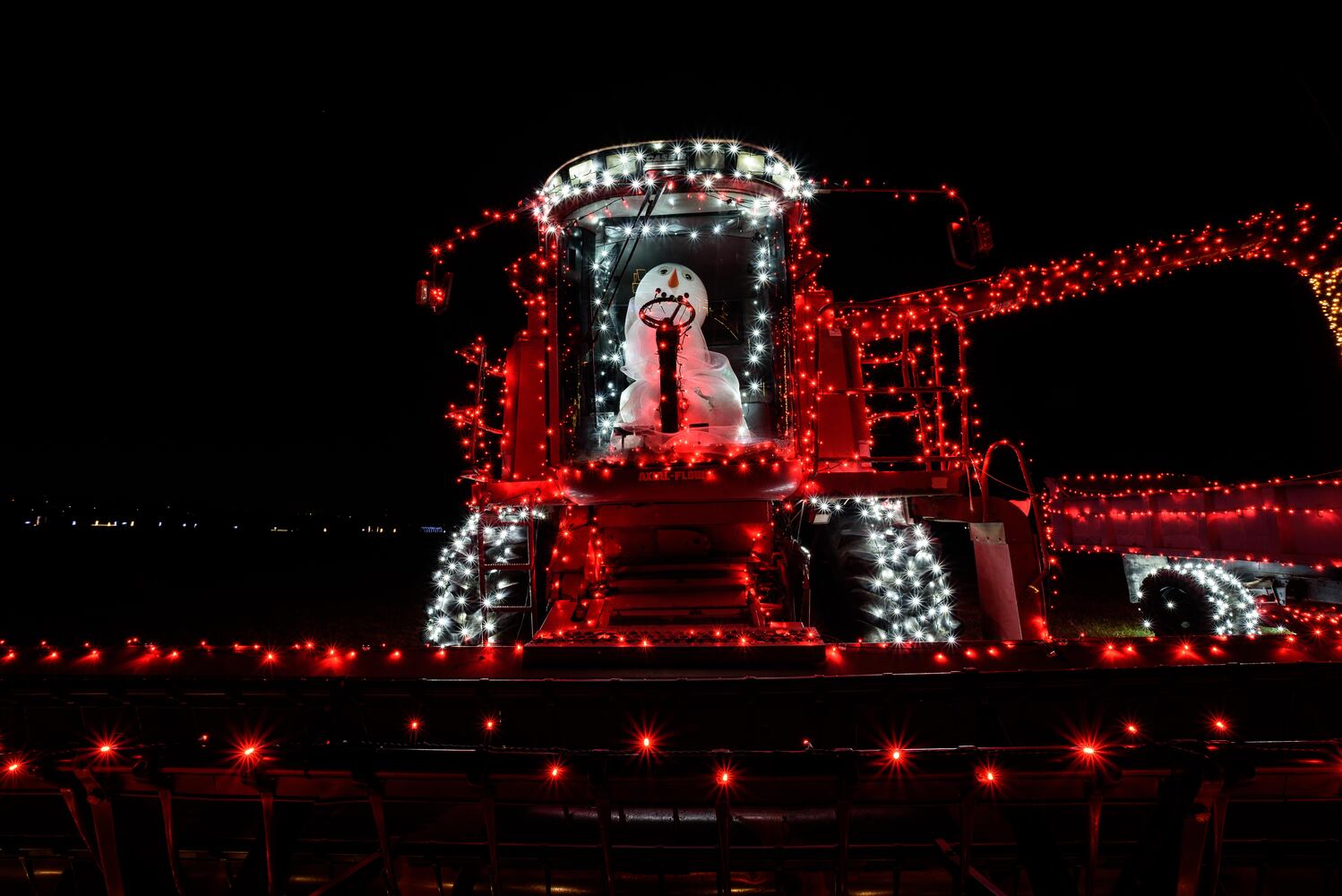 PHOTOS: Holiday Lights dazzle at Lost Creek Reserve in Troy