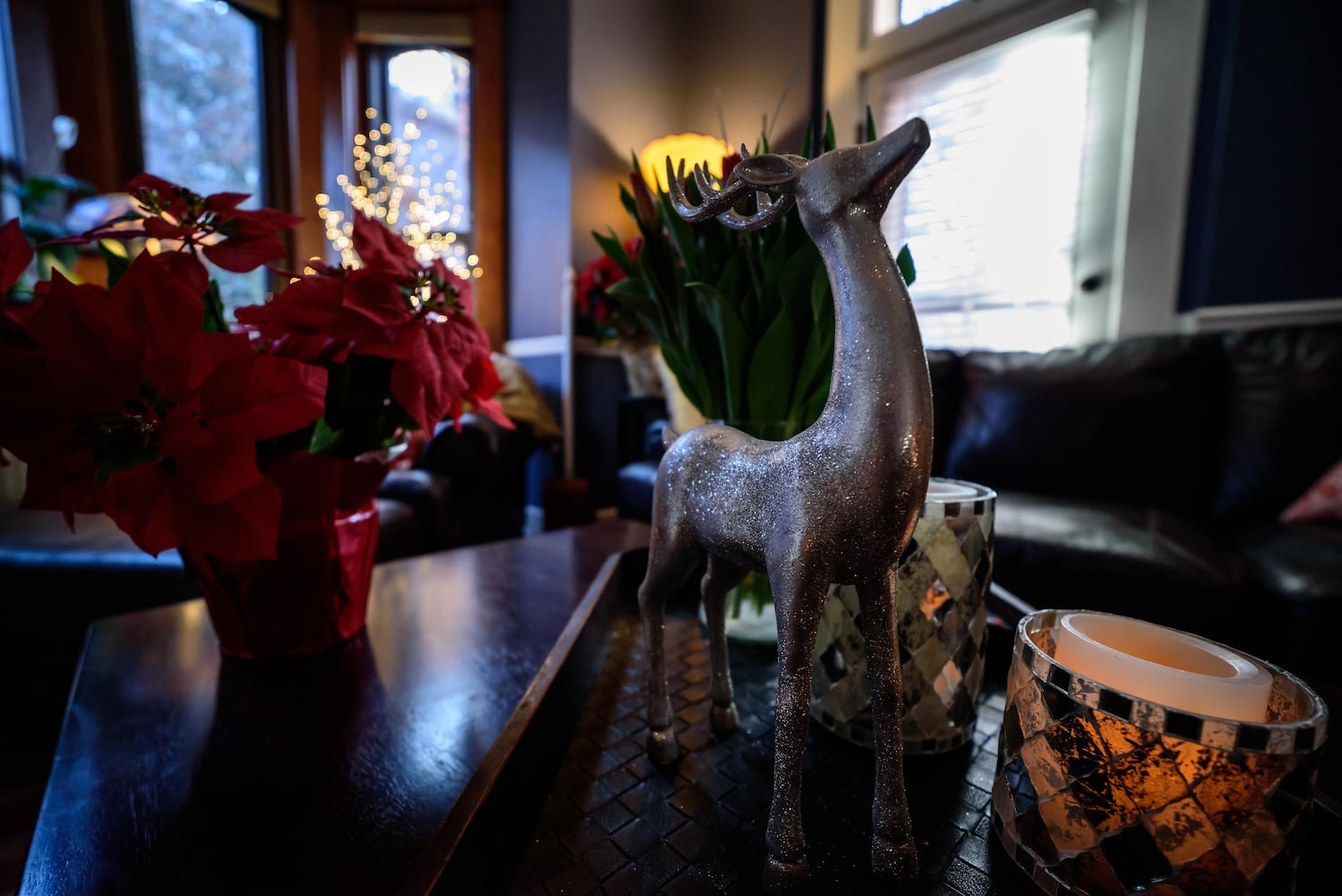 PHOTOS: Decked out for the season, the Oregon District home tour was a breathtaking look at historic homes