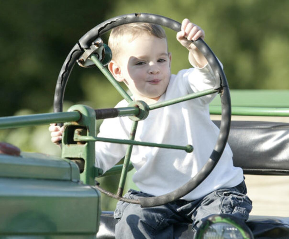 Adventure Acres Corn Maze