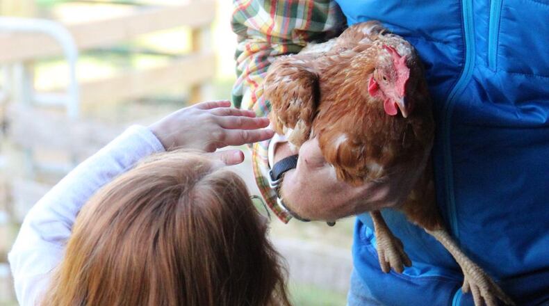 Learning Tree Farm’s family-friendly fundraiser Autumn Fest returns Saturday, Sept. 18 from 10 a.m. to 4 p.m. On 85 acres of farmland, families can enjoy activities, food trucks, educational opportunities and more.