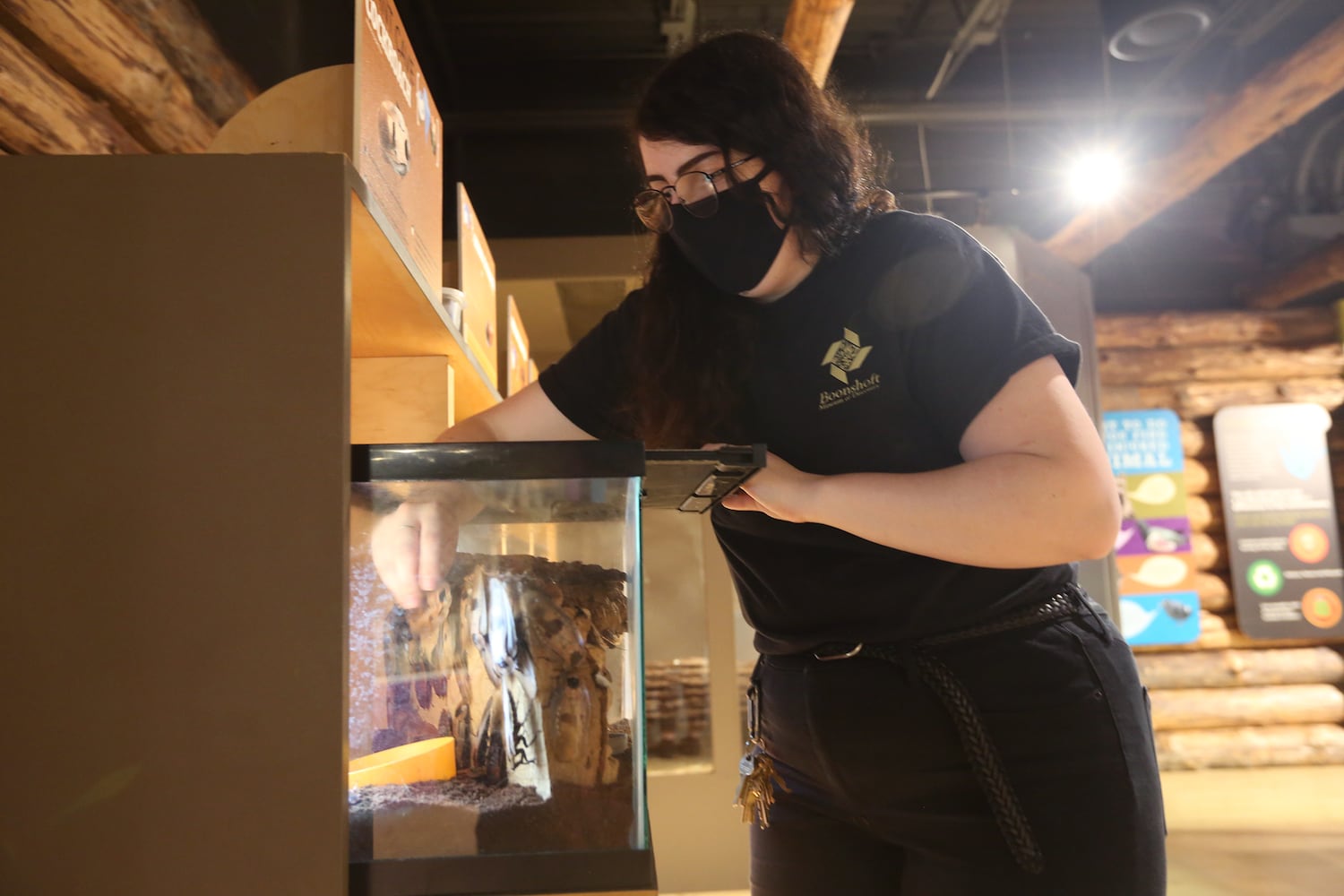 PHOTOS: Boonshoft Museum of Discovery reopens with old favorites and rarely seen artifacts from the collection