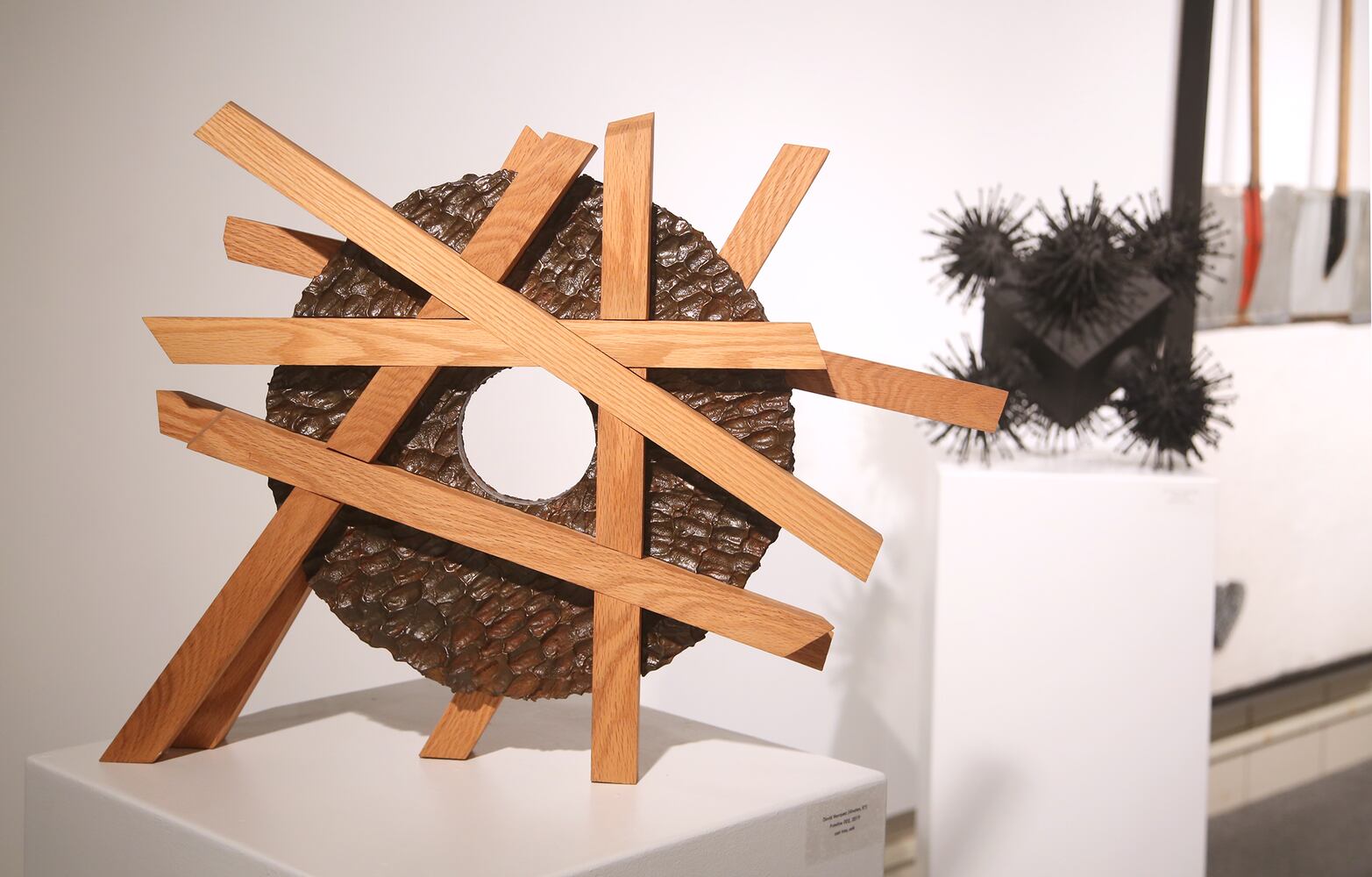 PHOTOS: Sneak peek at the Rosewood Gallery contemporary sculpture exhibit