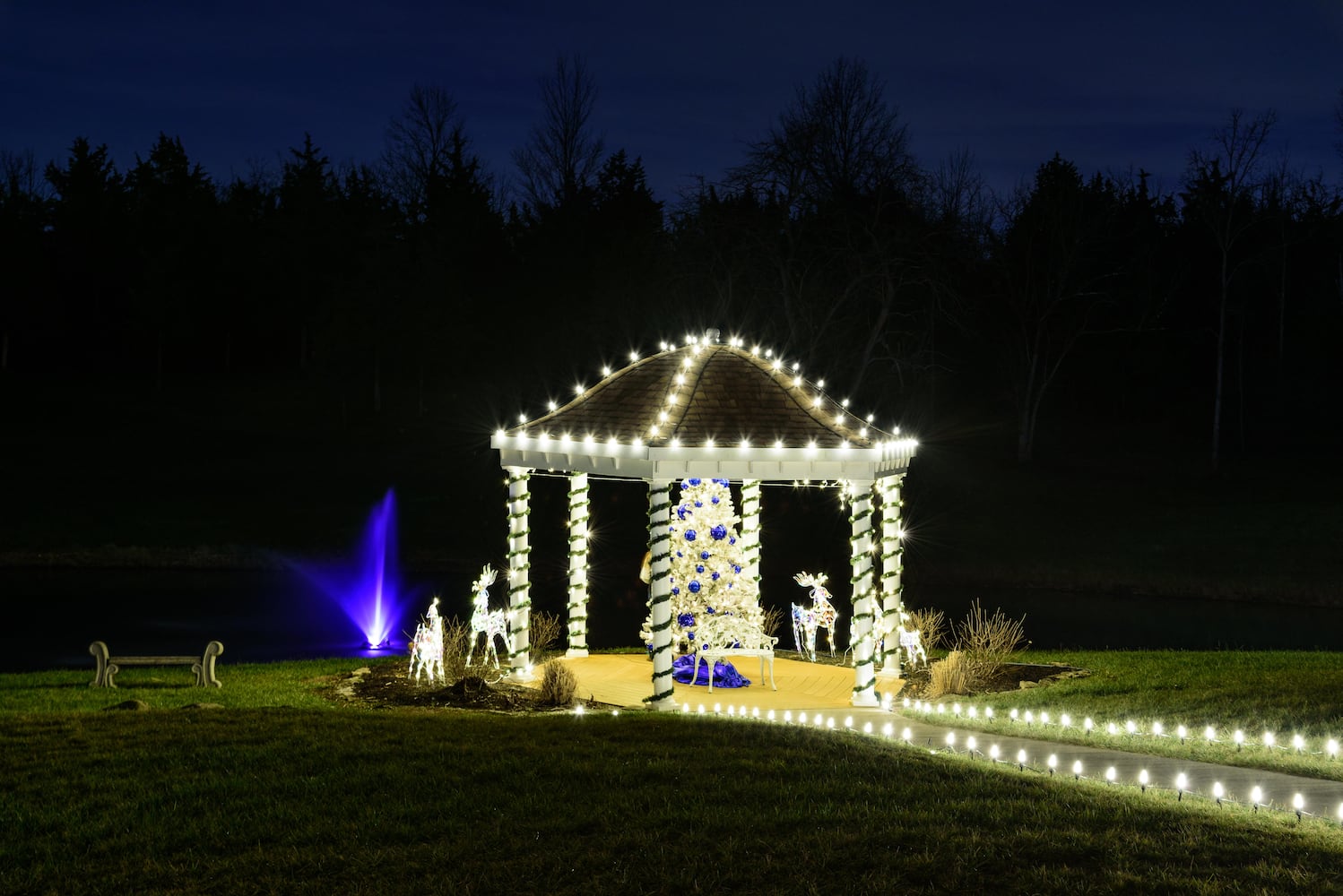 PHOTOS: Christmas Light Spectacular at Cedar Springs Pavilion