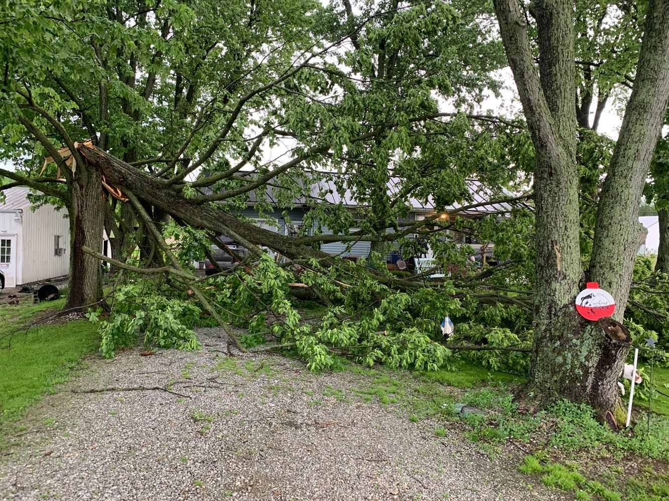 PHOTOS: Storm damage across Miami Valley