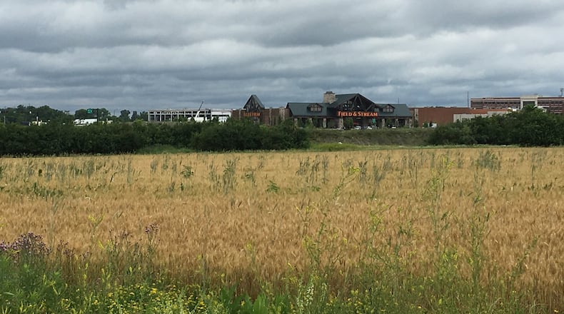 The 67 acres envisioned as Austin South Springboro remain undeveloped as ownership of the Austin Landing development changes hands. STAFF/LAWRENCE BUDD