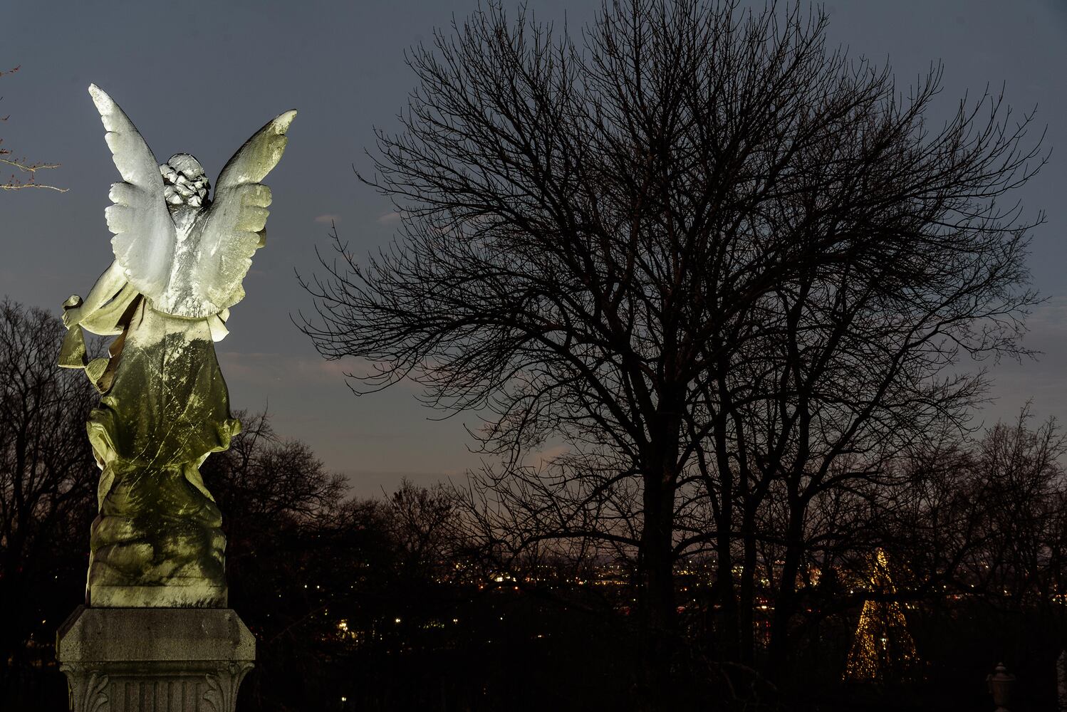 PHOTOS: Angel Night at Calvary Cemetery
