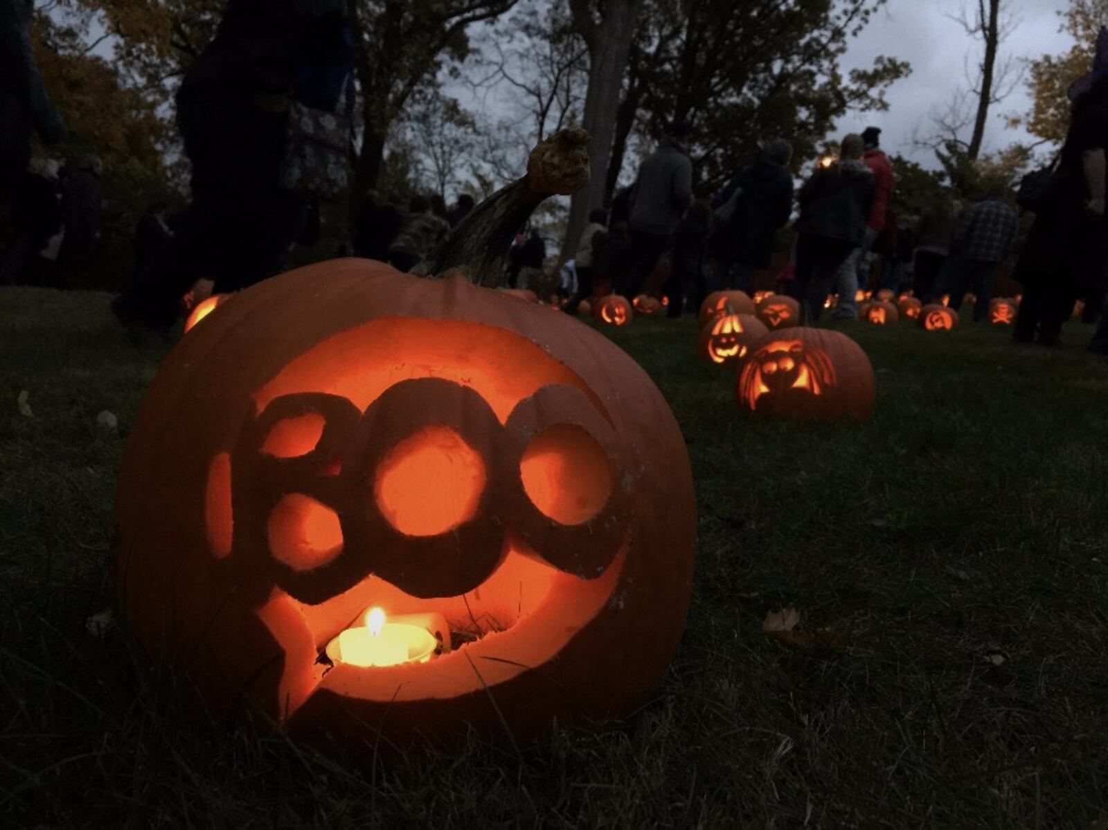 Approximately 800 uniquely carved jack'o-lanterns on the hill behind the Greek Orthodox Church in the historic Grafton Hill neighborhood attracted hundreds of visitors Friday, Oct. 30. The Pumpkin Glow continued through Saturday evening, Oct. 31.