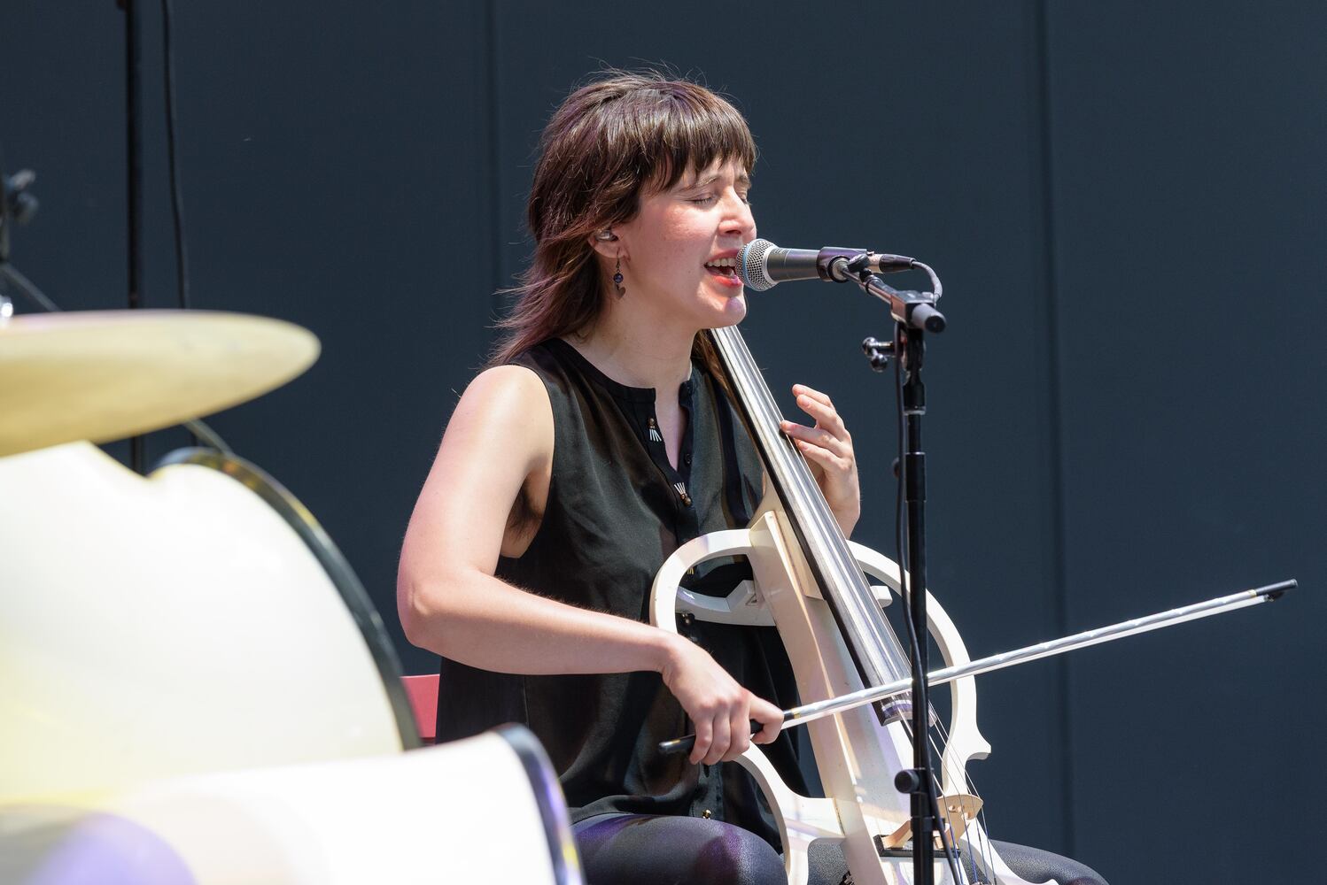 PHOTOS: Lung & Freya's Felines Live at Levitt Pavilion